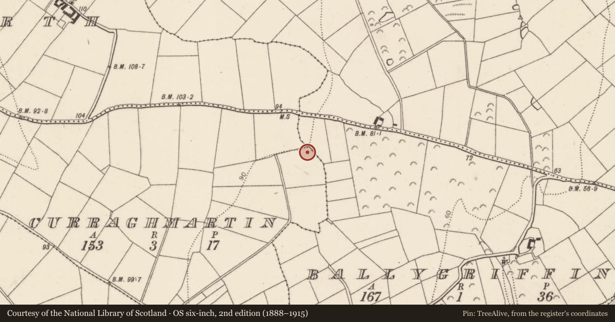 Ordnance Survey six-inch map, 2nd edition (1888–1915) covering the location of Fulacht fia, Ballygriffin, Curraghmartin, County Kilkenny, with a pin at the register's coordinates