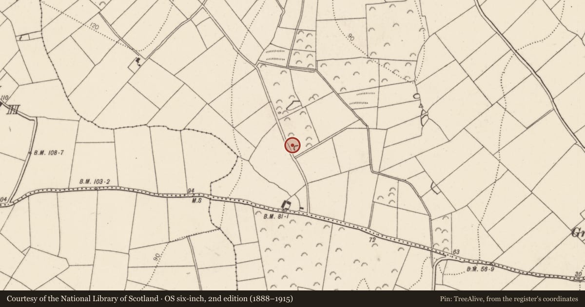 Ordnance Survey six-inch map, 2nd edition (1888–1915) covering the location of Fulacht fia, Granny, County Kilkenny, with a pin at the register's coordinates