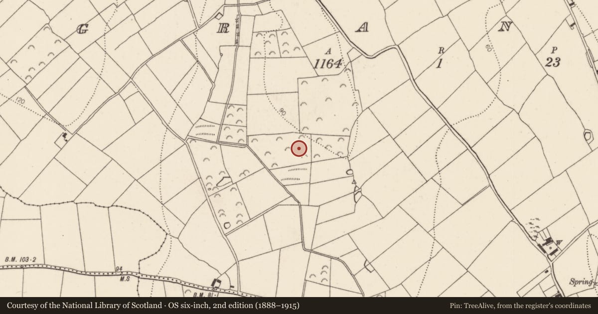 Ordnance Survey six-inch map, 2nd edition (1888–1915) covering the location of Fulacht fia, Granny, County Kilkenny, with a pin at the register's coordinates