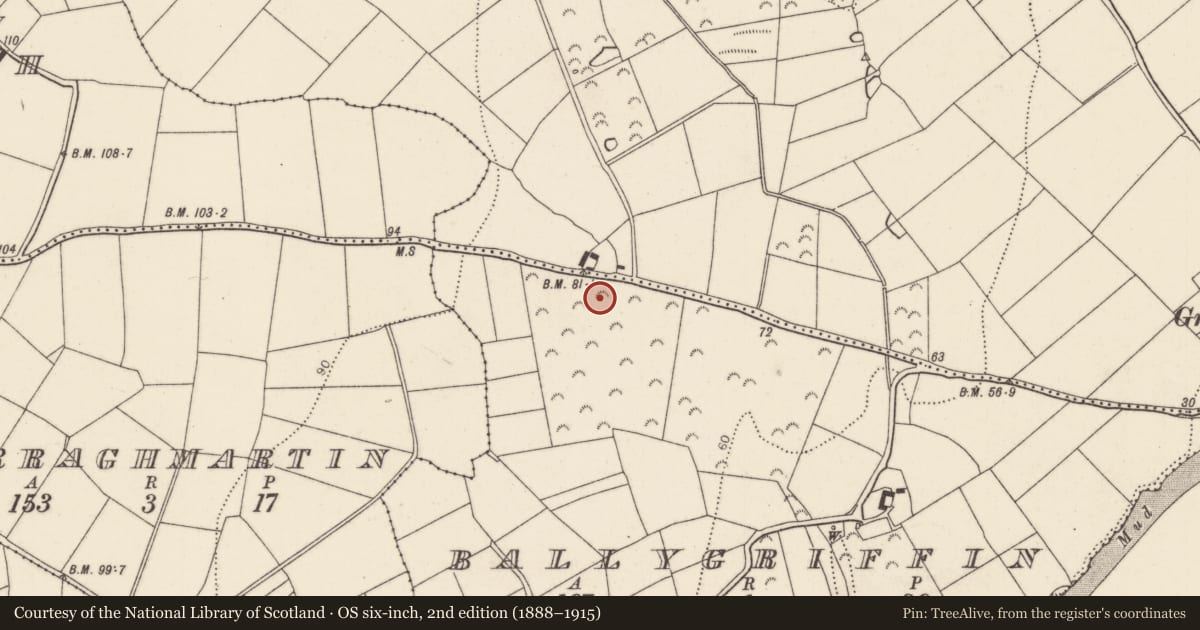 Ordnance Survey six-inch map, 2nd edition (1888–1915) covering the location of Fulacht fia, Ballygriffin, County Kilkenny, with a pin at the register's coordinates