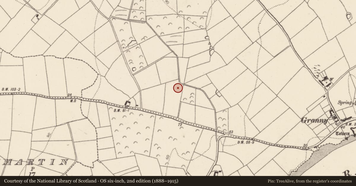 Ordnance Survey six-inch map, 2nd edition (1888–1915) covering the location of Fulacht fia, Granny, County Kilkenny, with a pin at the register's coordinates