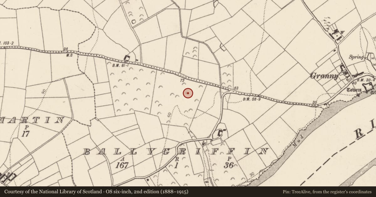Ordnance Survey six-inch map, 2nd edition (1888–1915) covering the location of Fulacht fia, Ballygriffin, County Kilkenny, with a pin at the register's coordinates