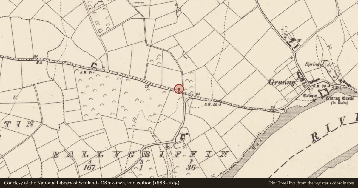 Ordnance Survey six-inch map, 2nd edition (1888–1915) covering the location of Fulacht fia, Granny, County Kilkenny, with a pin at the register's coordinates