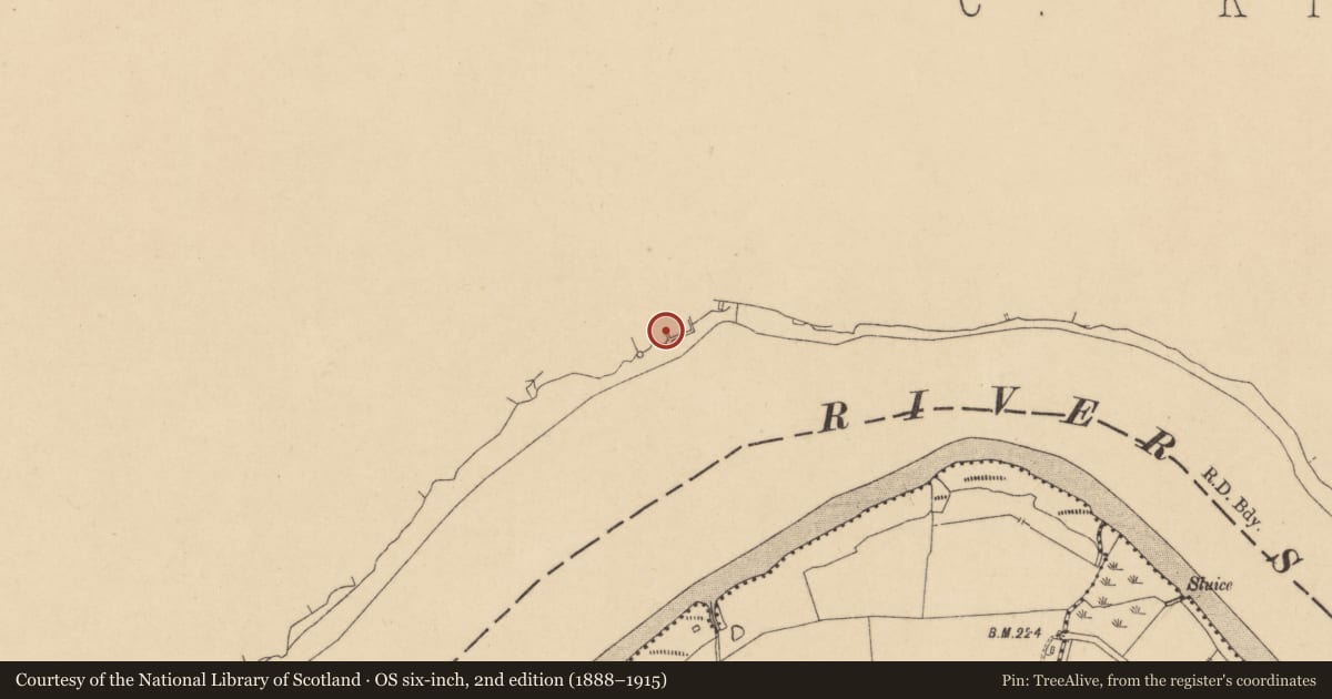 Ordnance Survey six-inch map, 2nd edition (1888–1915) covering the location of Bawn, Granny, County Kilkenny, with a pin at the register's coordinates