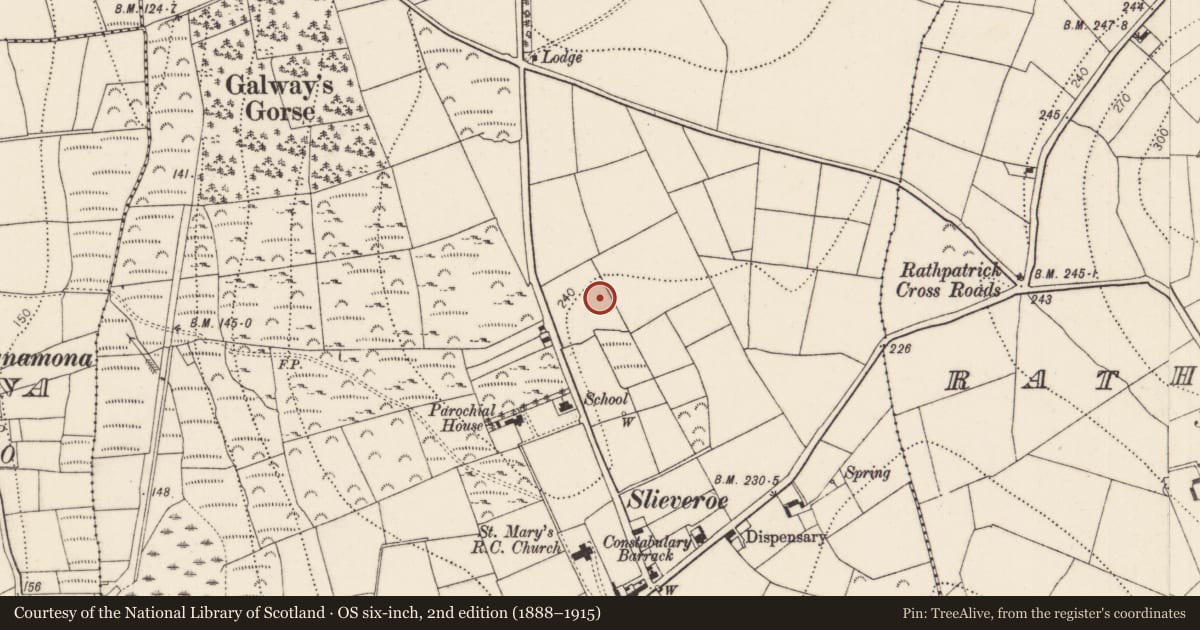 Ordnance Survey six-inch map, 2nd edition (1888–1915) covering the location of Cist, Kilmurry, County Kilkenny, with a pin at the register's coordinates