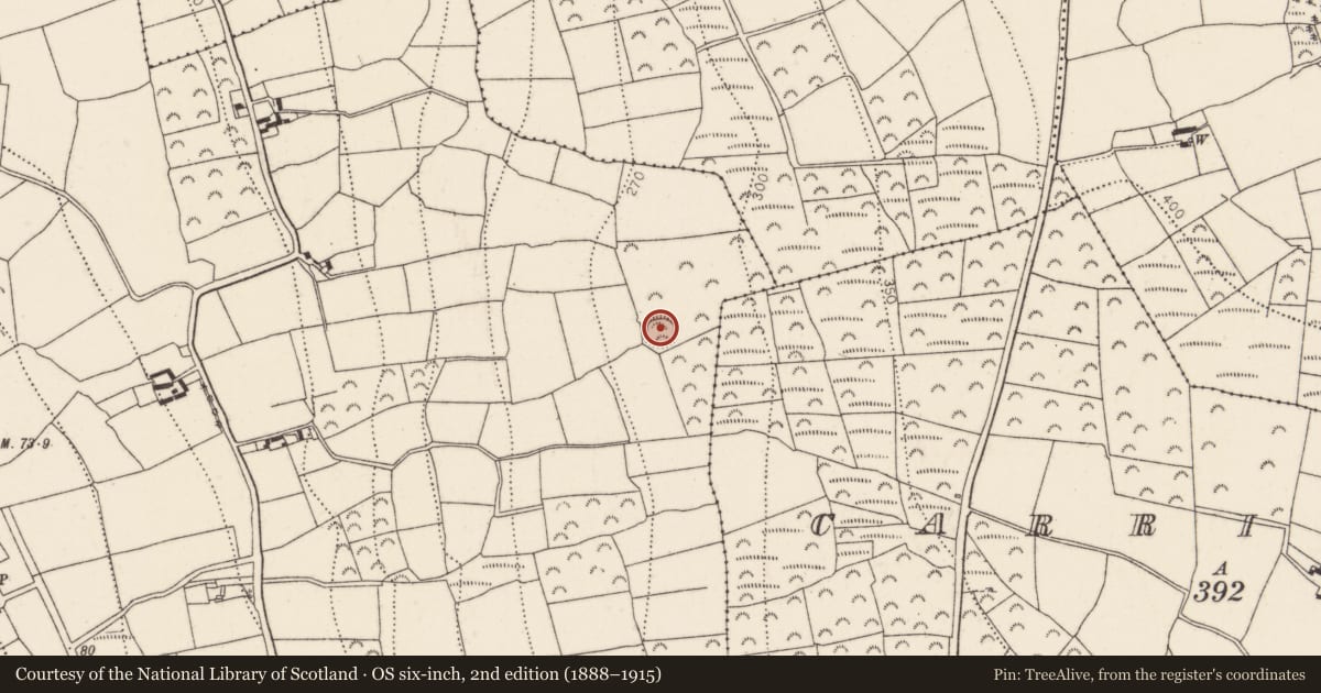 Ordnance Survey six-inch map, 2nd edition (1888–1915) covering the location of Ringfort - rath, Nicholastown, County Kilkenny, with a pin at the register's coordinates