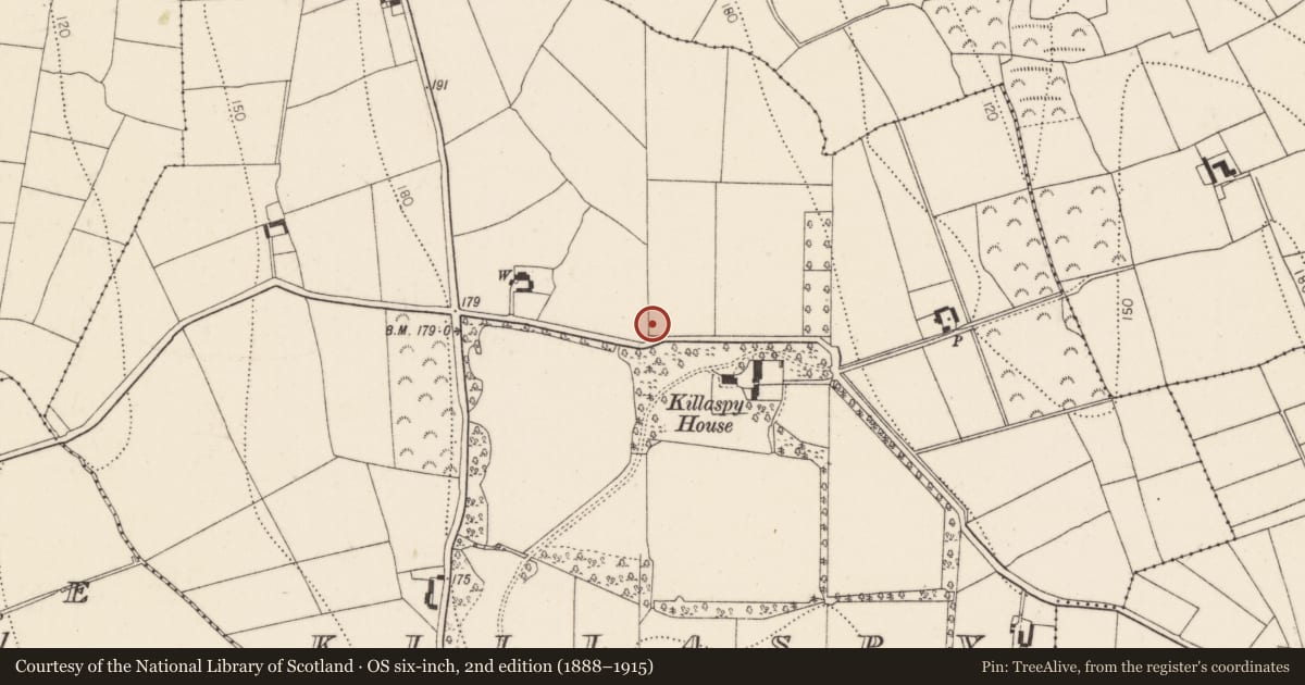 Ordnance Survey six-inch map, 2nd edition (1888–1915) covering the location of Graveyard, Killaspy, County Kilkenny, with a pin at the register's coordinates