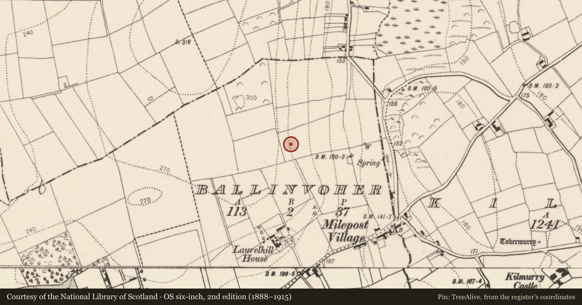 Ordnance Survey six-inch map, 2nd edition (1888–1915) covering the location of Standing stone, Ballinvoher, County Kilkenny, with a pin at the register's coordinates