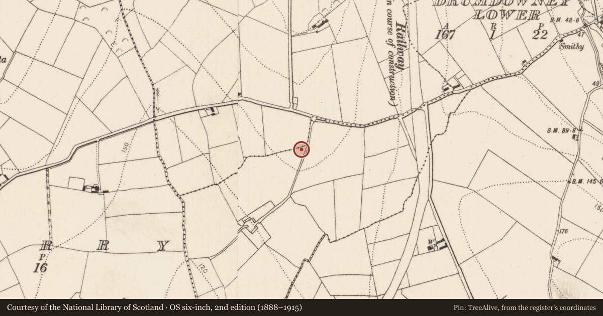 Ordnance Survey six-inch map, 2nd edition (1888–1915) covering the location of Fulacht fia, Kilmurry, County Kilkenny, with a pin at the register's coordinates