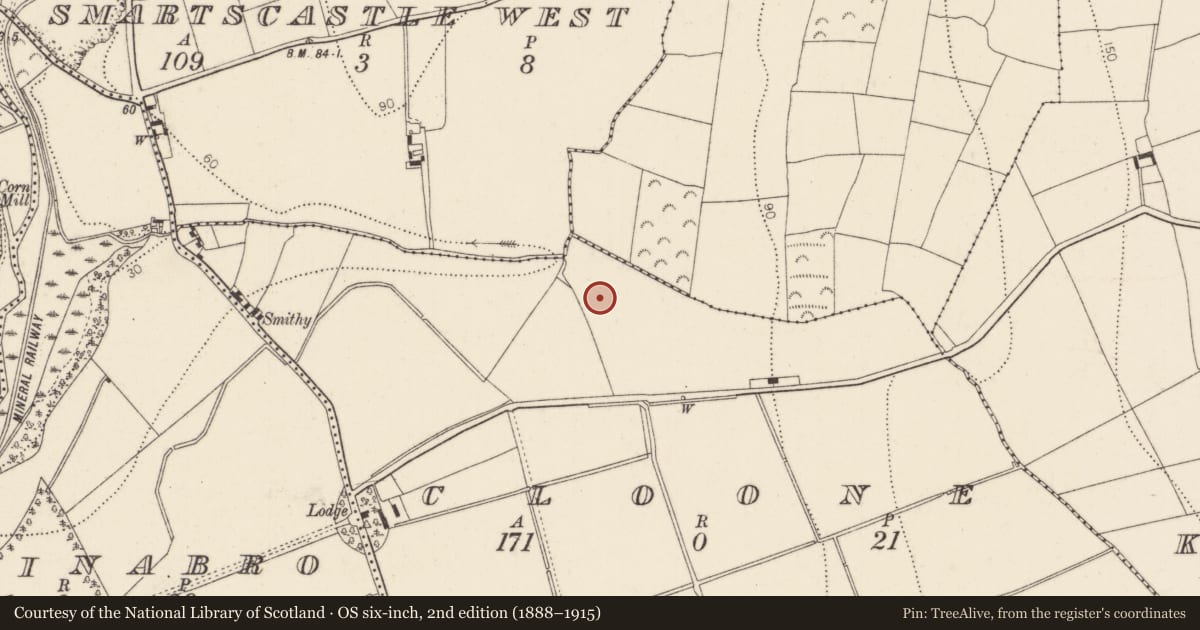 Ordnance Survey six-inch map, 2nd edition (1888–1915) covering the location of Excavation - miscellaneous, Cloone, County Kilkenny, with a pin at the register's coordinates