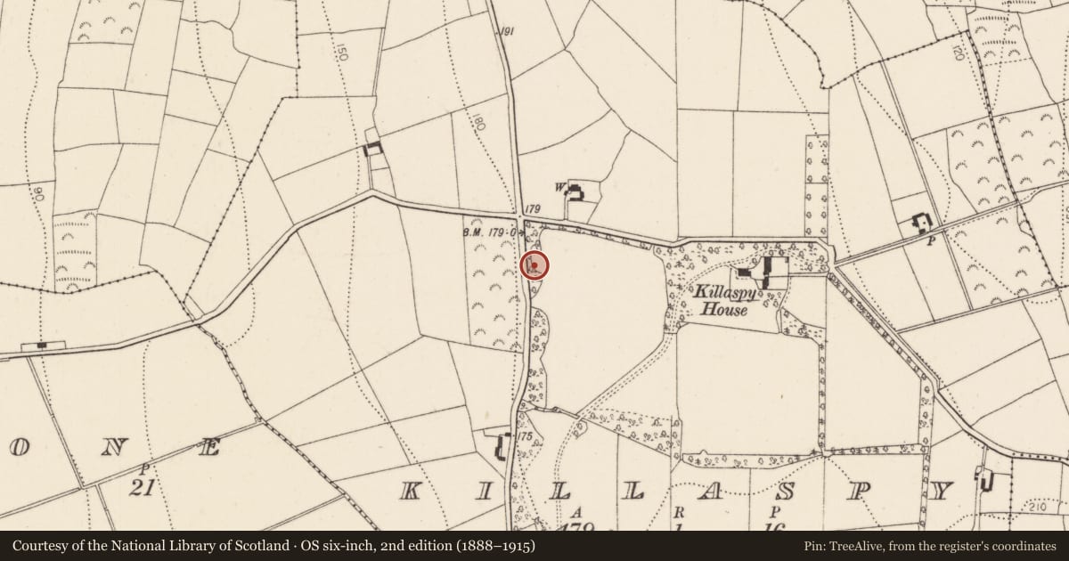 Ordnance Survey six-inch map, 2nd edition (1888–1915) covering the location of Excavation - miscellaneous, Killaspy, County Kilkenny, with a pin at the register's coordinates