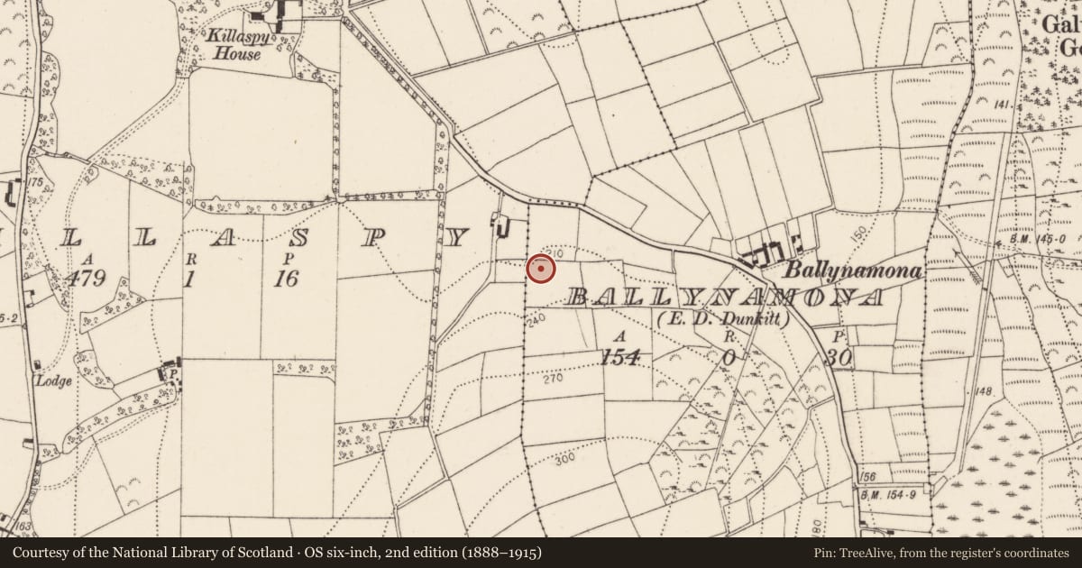 Ordnance Survey six-inch map, 2nd edition (1888–1915) covering the location of Fulacht fia, Killaspy, County Kilkenny, with a pin at the register's coordinates