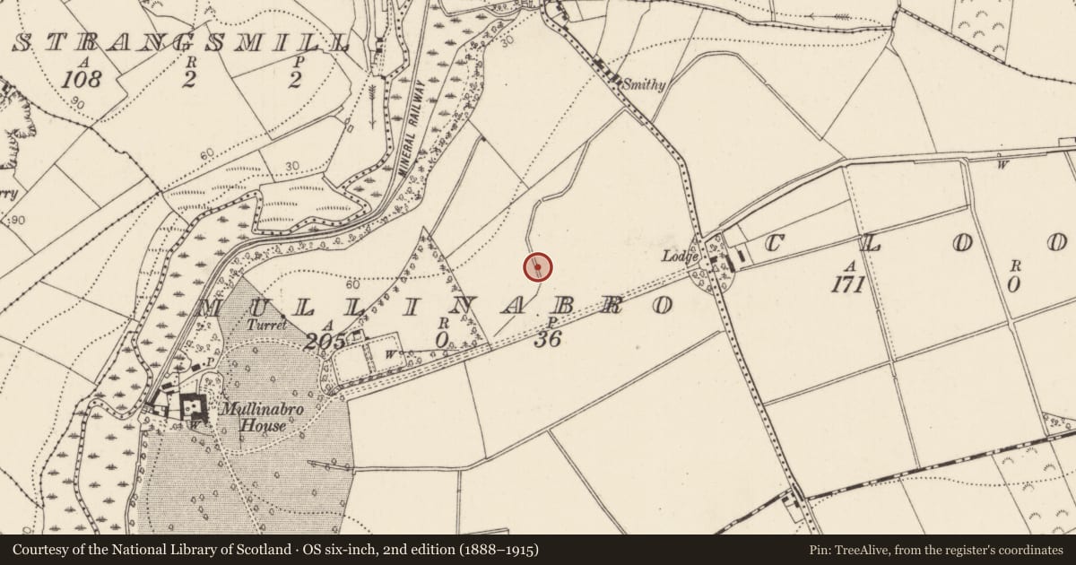 Ordnance Survey six-inch map, 2nd edition (1888–1915) covering the location of Excavation - miscellaneous, Mullinabro, County Kilkenny, with a pin at the register's coordinates