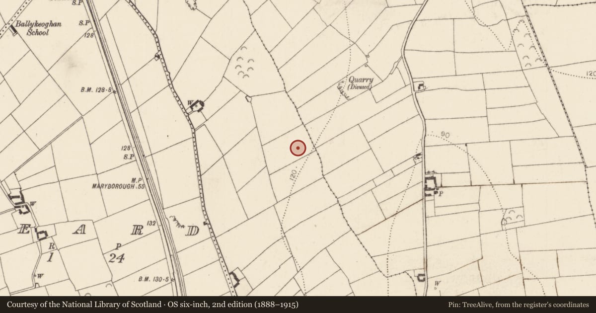 Ordnance Survey six-inch map, 2nd edition (1888–1915) covering the location of Excavation - miscellaneous, Ballykeoghan, County Kilkenny, with a pin at the register's coordinates
