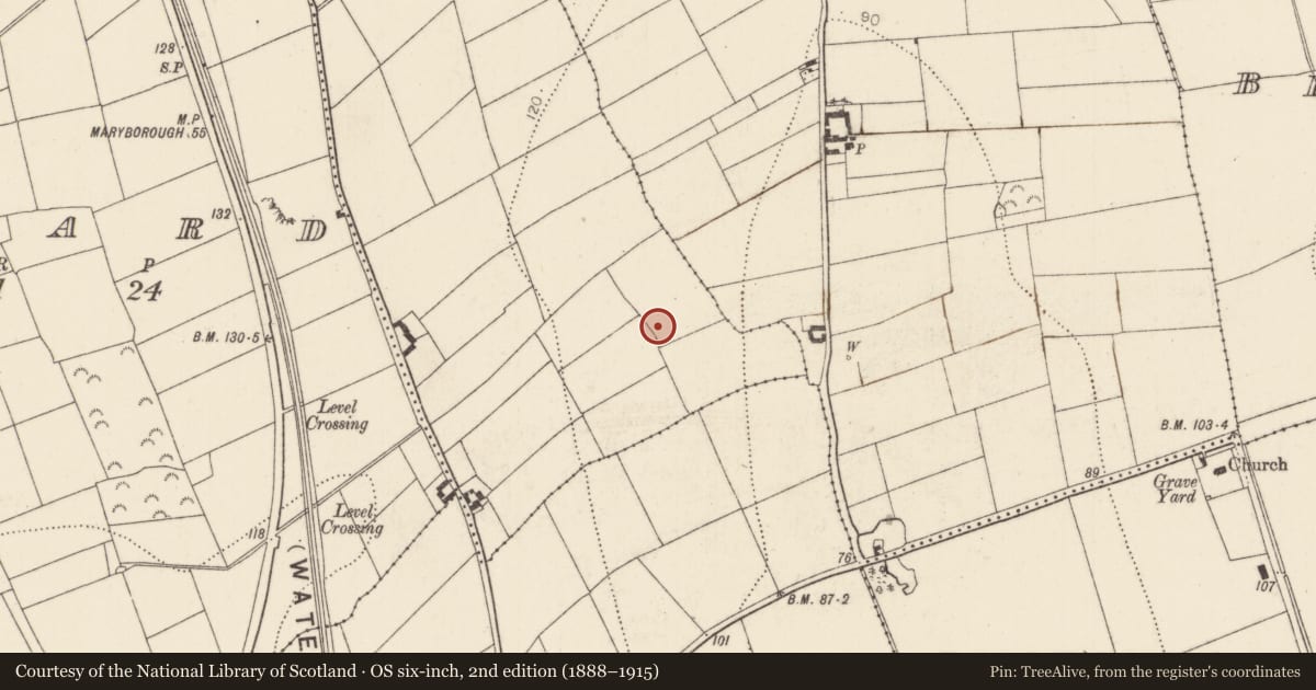 Ordnance Survey six-inch map, 2nd edition (1888–1915) covering the location of Metalworking site, Ballykeoghan, County Kilkenny, with a pin at the register's coordinates