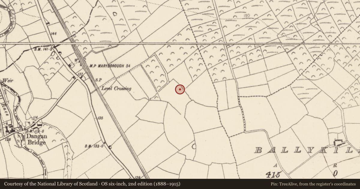 Ordnance Survey six-inch map, 2nd edition (1888–1915) covering the location of Metalworking site, Ballykeoghan, County Kilkenny, with a pin at the register's coordinates