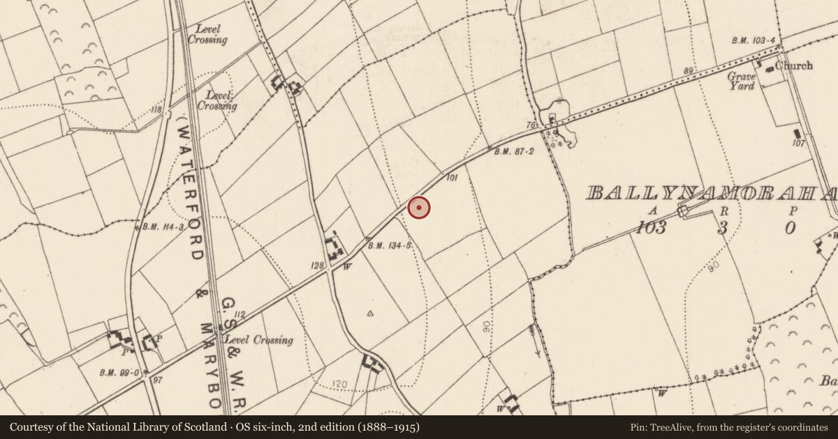 Ordnance Survey six-inch map, 2nd edition (1888–1915) covering the location of Metalworking site, Milltown, County Kilkenny, with a pin at the register's coordinates
