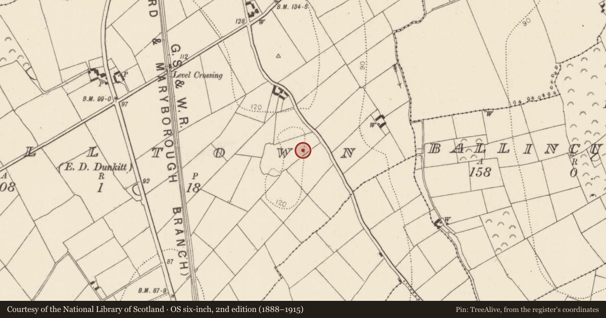 Ordnance Survey six-inch map, 2nd edition (1888–1915) covering the location of Kiln, Milltown, County Kilkenny, with a pin at the register's coordinates