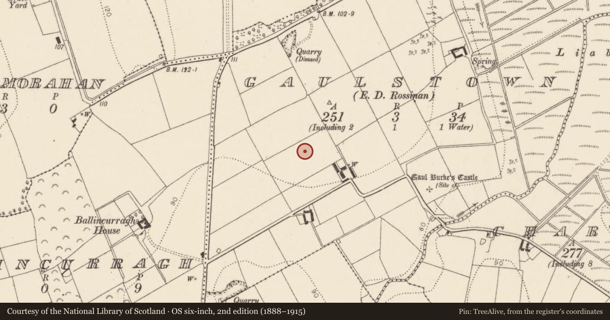 Ordnance Survey six-inch map, 2nd edition (1888–1915) covering the location of Enclosure, Gaulstown, County Kilkenny, with a pin at the register's coordinates