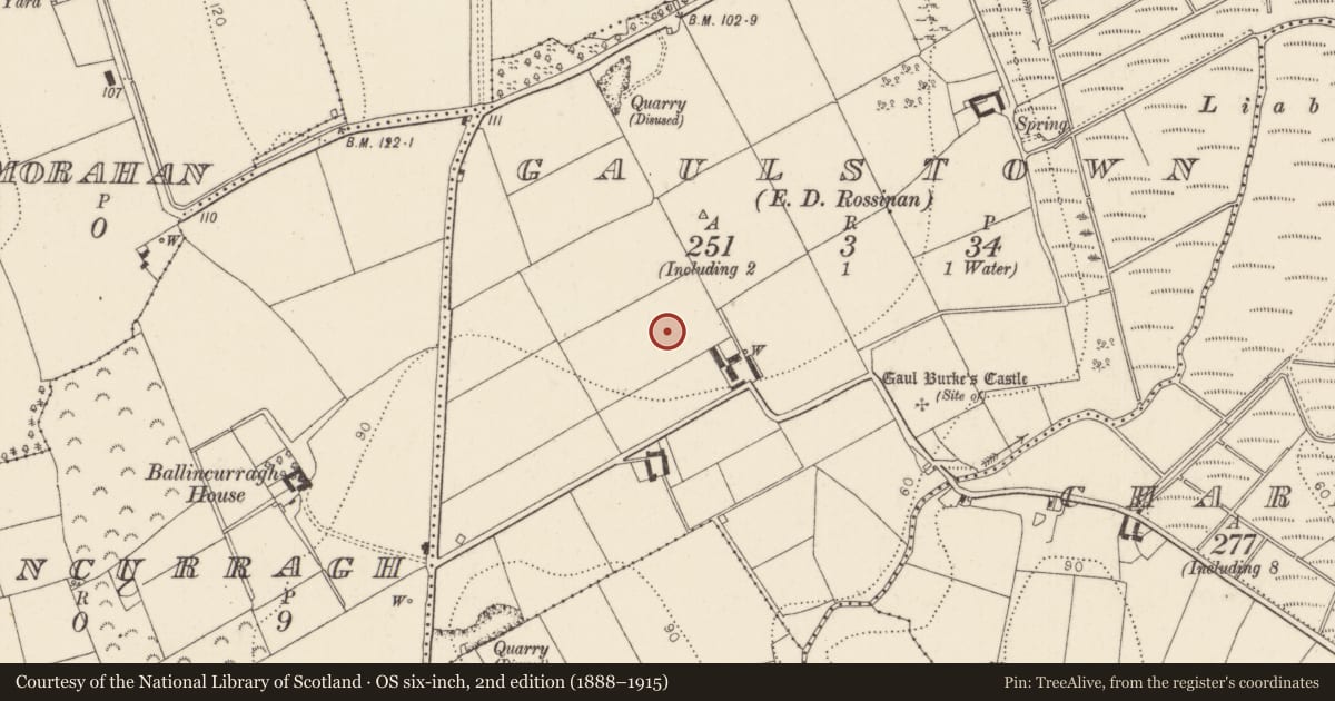 Ordnance Survey six-inch map, 2nd edition (1888–1915) covering the location of Enclosure, Gaulstown, County Kilkenny, with a pin at the register's coordinates