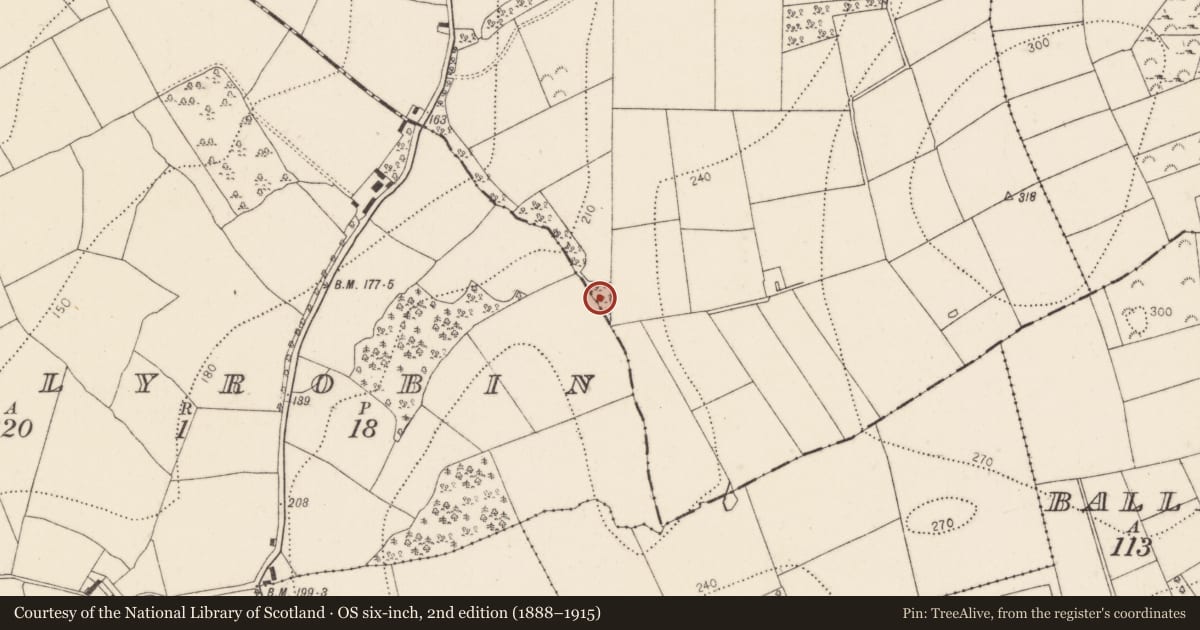 Ordnance Survey six-inch map, 2nd edition (1888–1915) covering the location of Fulacht fia, Killaspy, County Kilkenny, with a pin at the register's coordinates