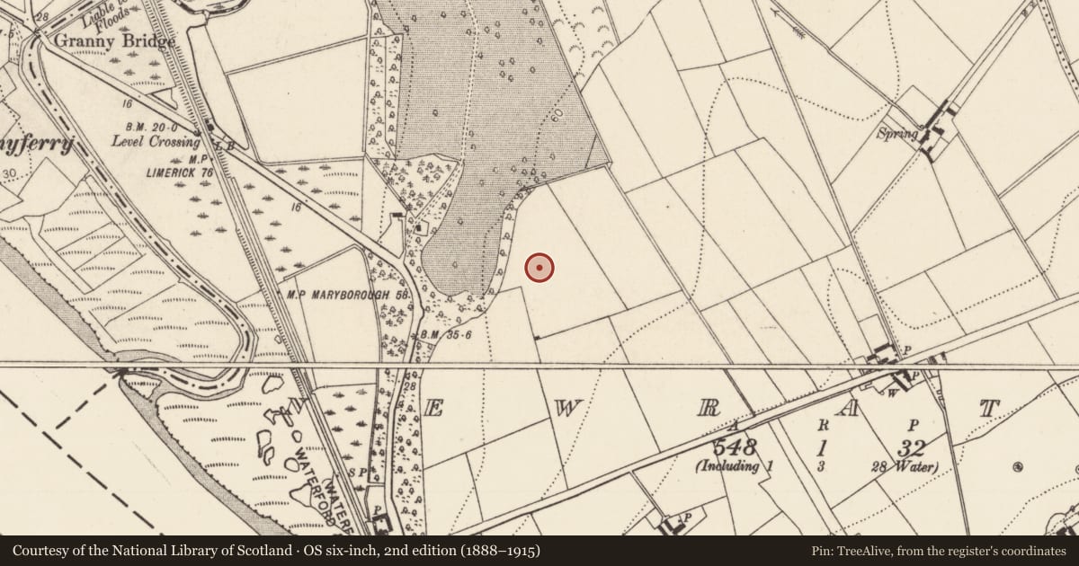 Ordnance Survey six-inch map, 2nd edition (1888–1915) covering the location of Enclosure, Newrath, County Kilkenny, with a pin at the register's coordinates