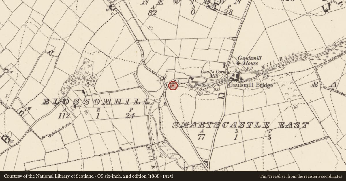 Ordnance Survey six-inch map, 2nd edition (1888–1915) covering the location of Standing stone, Smartcastle East, County Kilkenny, with a pin at the register's coordinates