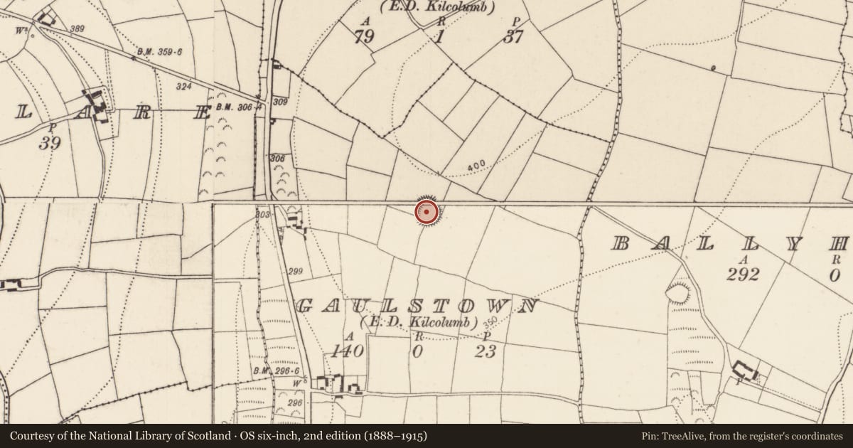 Ordnance Survey six-inch map, 2nd edition (1888–1915) covering the location of Ringfort - rath, Gaulstown, County Kilkenny, with a pin at the register's coordinates