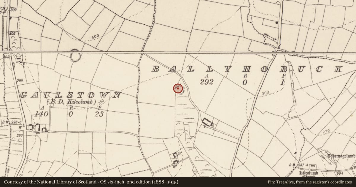 Ordnance Survey six-inch map, 2nd edition (1888–1915) covering the location of Ringfort - rath, Ballyhobuck, County Kilkenny, with a pin at the register's coordinates