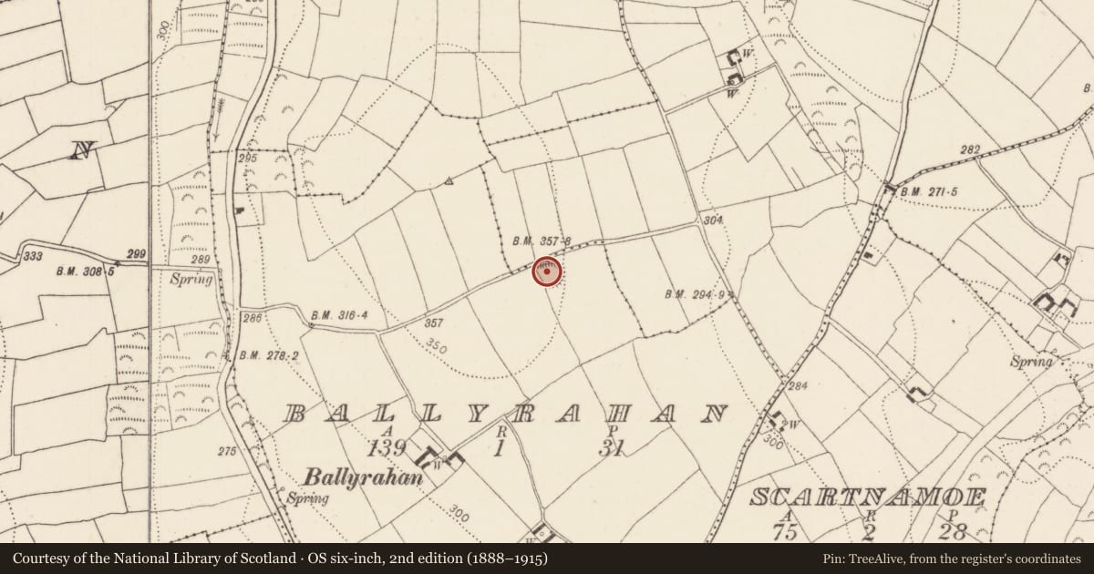 Ordnance Survey six-inch map, 2nd edition (1888–1915) covering the location of Ringfort - rath, Ballyrahan, County Kilkenny, with a pin at the register's coordinates