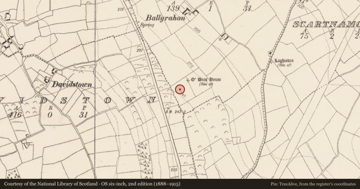 Ordnance Survey six-inch map, 2nd edition (1888–1915) covering the location of Fulacht fia, Ballyrahan, County Kilkenny, with a pin at the register's coordinates