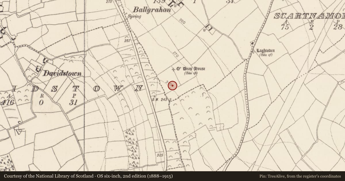 Ordnance Survey six-inch map, 2nd edition (1888–1915) covering the location of Fulacht fia, Ballyrahan, County Kilkenny, with a pin at the register's coordinates