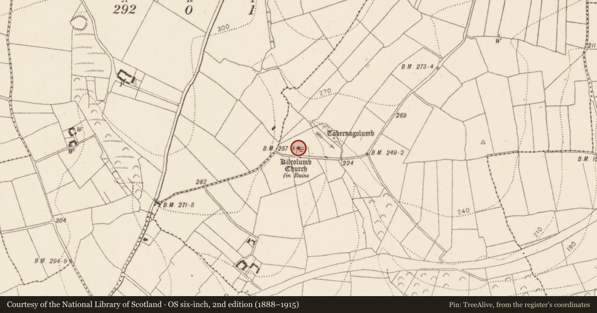 Ordnance Survey six-inch map, 2nd edition (1888–1915) covering the location of Church, Rathinure, County Kilkenny, with a pin at the register's coordinates
