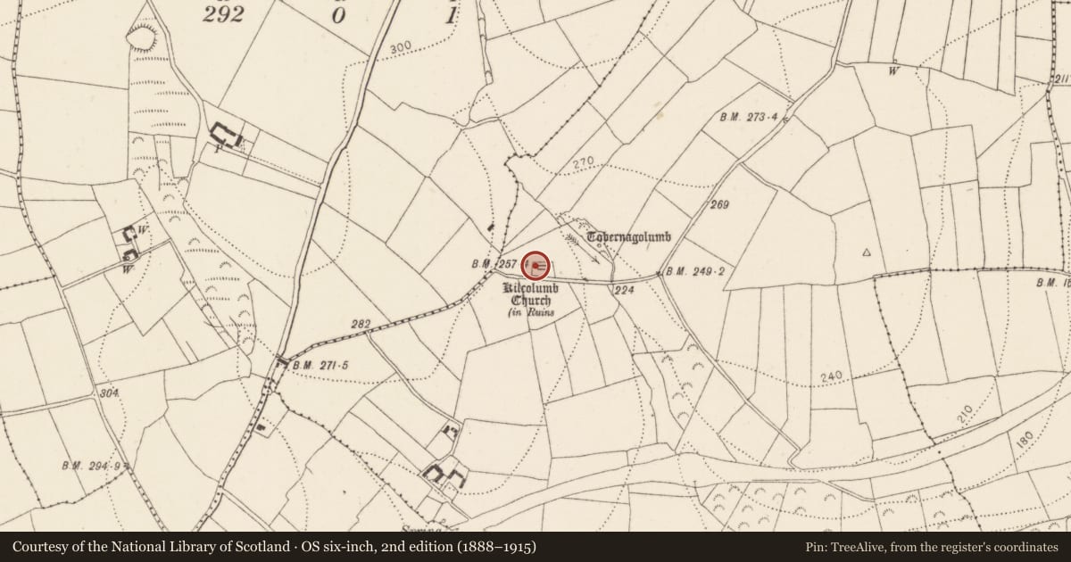 Ordnance Survey six-inch map, 2nd edition (1888–1915) covering the location of Graveyard, Rathinure, County Kilkenny, with a pin at the register's coordinates