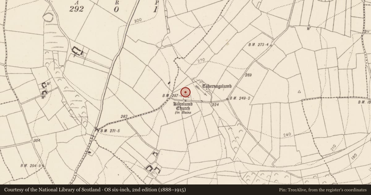 Ordnance Survey six-inch map, 2nd edition (1888–1915) covering the location of Bullaun stone, Rathinure, County Kilkenny, with a pin at the register's coordinates