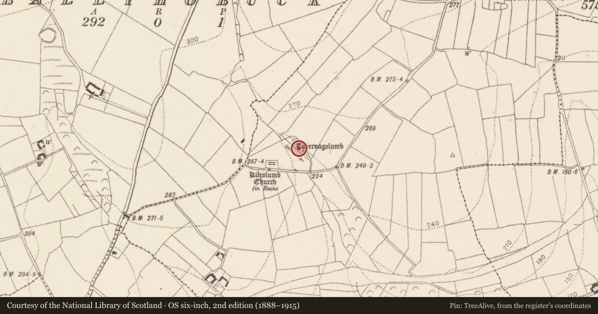 Ordnance Survey six-inch map, 2nd edition (1888–1915) covering the location of Ritual site - holy well, Rathinure, County Kilkenny, with a pin at the register's coordinates