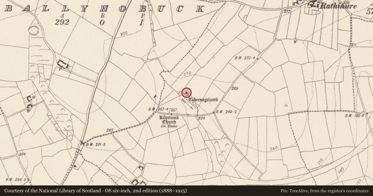 Ordnance Survey six-inch map, 2nd edition (1888–1915) covering the location of Ringfort - rath, Rathinure, County Kilkenny, with a pin at the register's coordinates