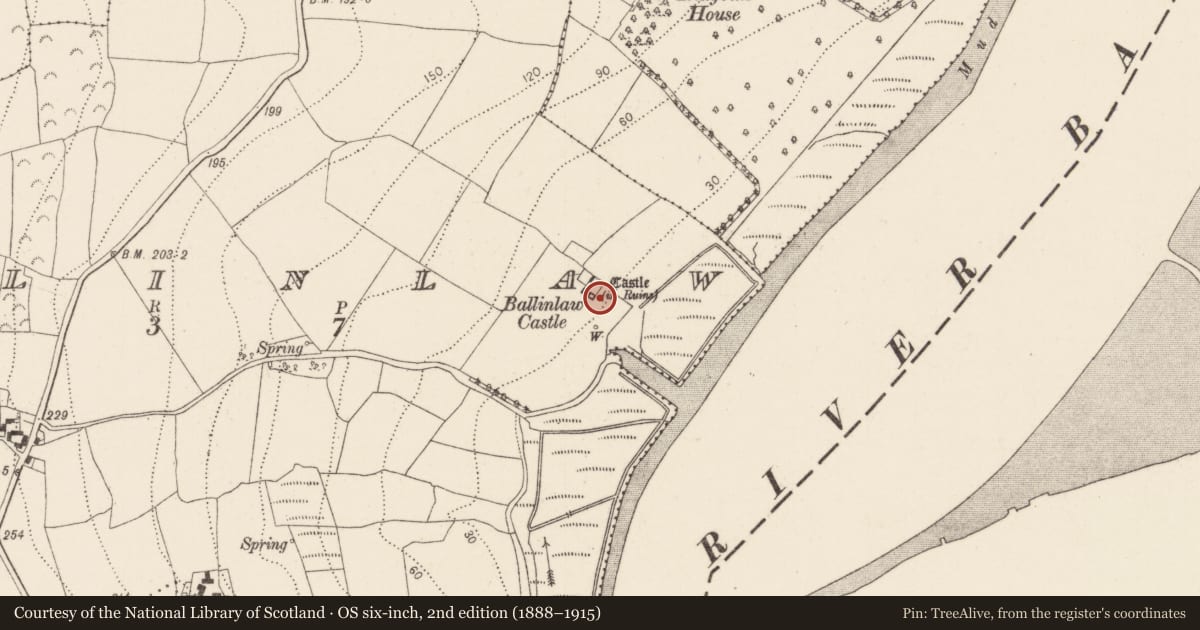 Ordnance Survey six-inch map, 2nd edition (1888–1915) covering the location of Castle - tower house, Ballinlaw, County Kilkenny, with a pin at the register's coordinates