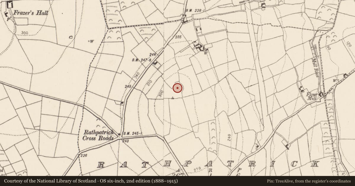 Ordnance Survey six-inch map, 2nd edition (1888–1915) covering the location of Ringfort - rath, Rathpatrick, County Kilkenny, with a pin at the register's coordinates