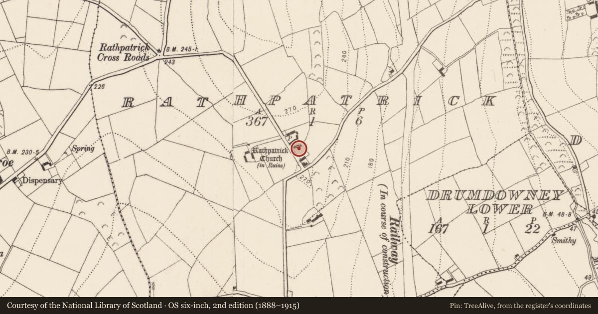 Ordnance Survey six-inch map, 2nd edition (1888–1915) covering the location of Graveyard, Rathpatrick, County Kilkenny, with a pin at the register's coordinates