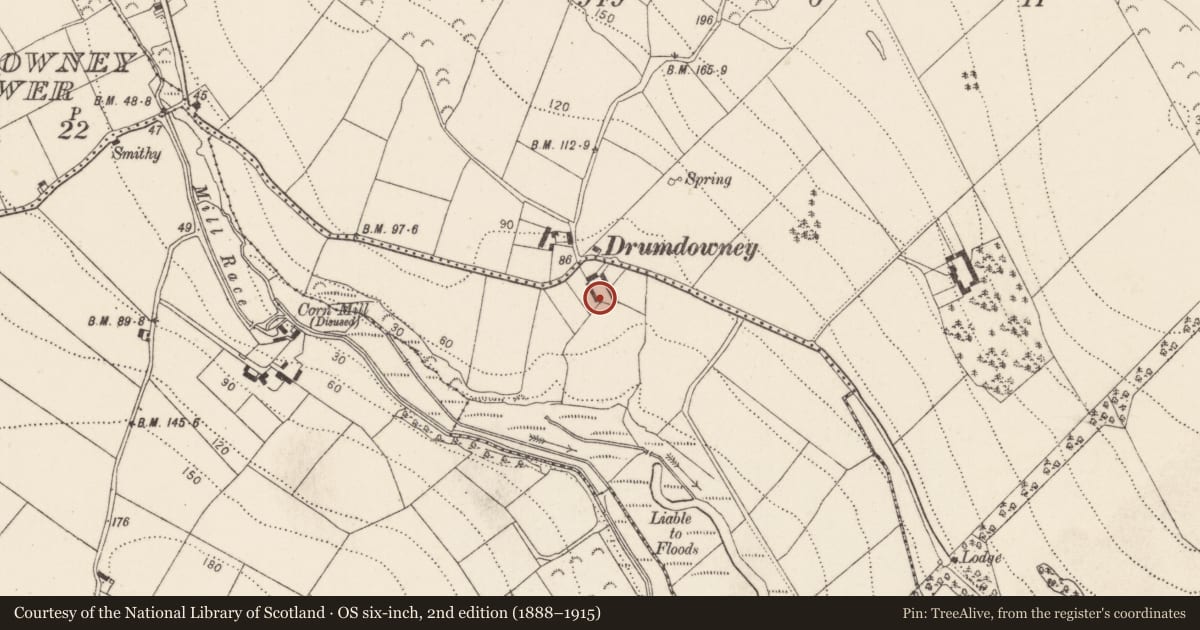 Ordnance Survey six-inch map, 2nd edition (1888–1915) covering the location of Castle - unclassified, Drumdowney Lower, County Kilkenny, with a pin at the register's coordinates