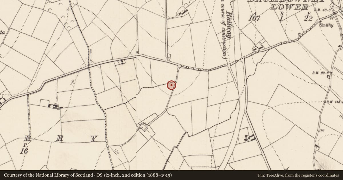 Ordnance Survey six-inch map, 2nd edition (1888–1915) covering the location of Standing stone, Drumdowney Lower, County Kilkenny, with a pin at the register's coordinates