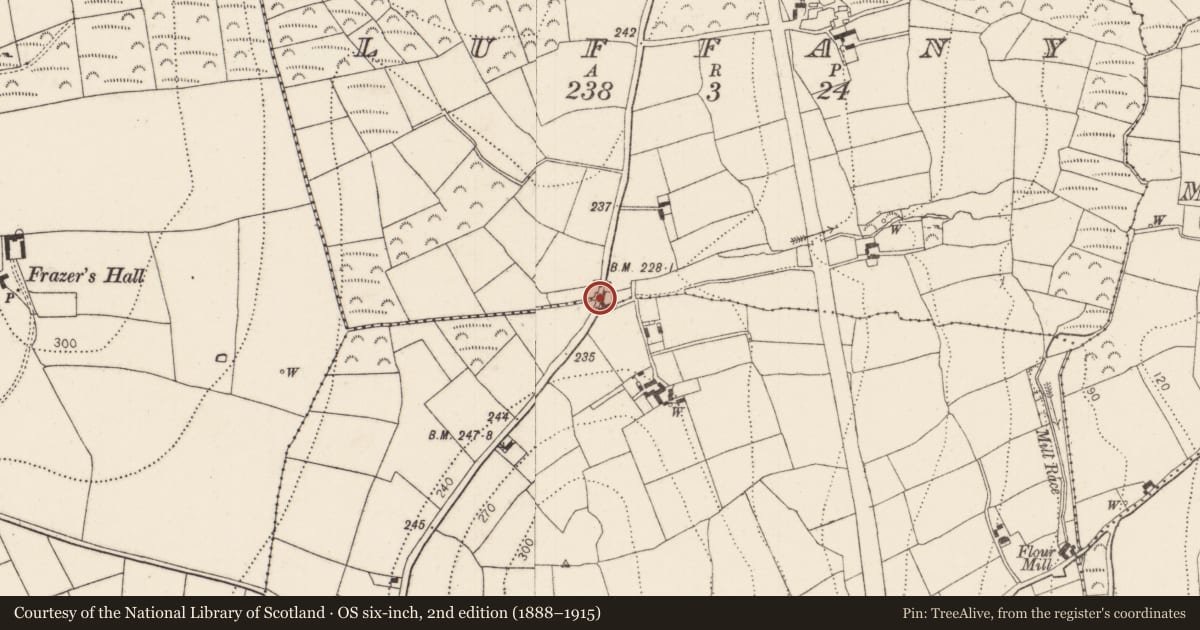 Ordnance Survey six-inch map, 2nd edition (1888–1915) covering the location of Cross - Wayside cross, Luffany, Rathpatrick, County Kilkenny, with a pin at the register's coordinates