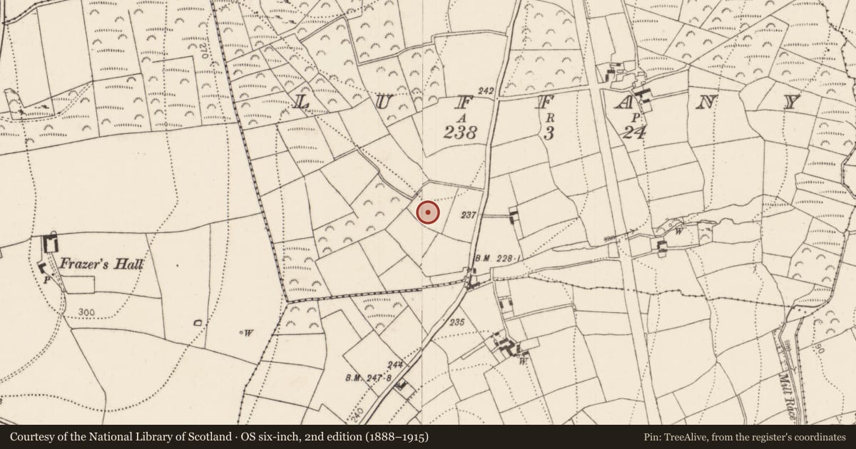Ordnance Survey six-inch map, 2nd edition (1888–1915) covering the location of Fulacht fia, Luffany, County Kilkenny, with a pin at the register's coordinates
