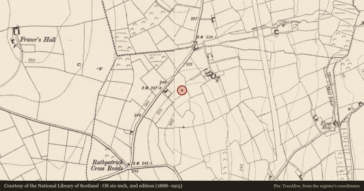 Ordnance Survey six-inch map, 2nd edition (1888–1915) covering the location of Fulacht fia, Rathpatrick, County Kilkenny, with a pin at the register's coordinates