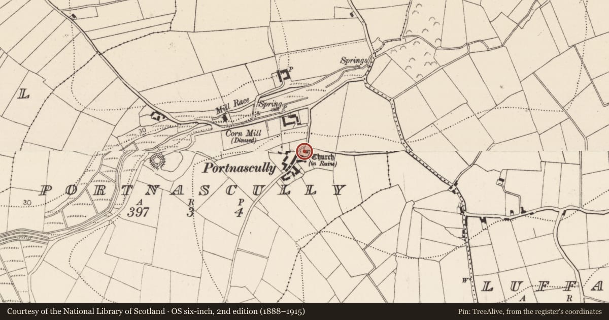Ordnance Survey six-inch map, 2nd edition (1888–1915) covering the location of Graveyard, Portnascully, County Kilkenny, with a pin at the register's coordinates