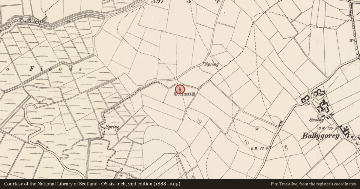 Ordnance Survey six-inch map, 2nd edition (1888–1915) covering the location of Ritual site - holy well, Ballygorey, County Kilkenny, with a pin at the register's coordinates