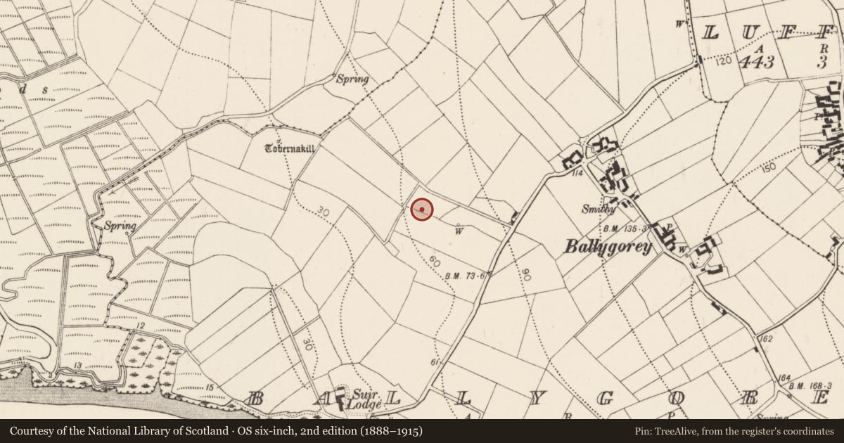 Ordnance Survey six-inch map, 2nd edition (1888–1915) covering the location of Fulacht fia, Ballygorey, County Kilkenny, with a pin at the register's coordinates
