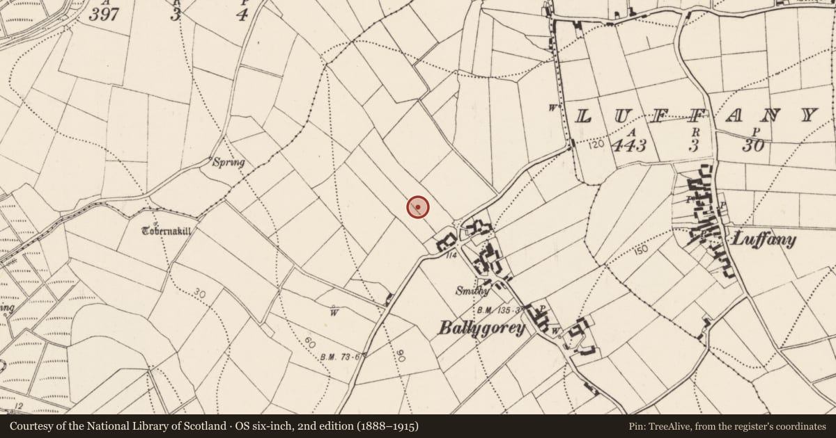 Ordnance Survey six-inch map, 2nd edition (1888–1915) covering the location of Fulacht fia, Ballygorey, County Kilkenny, with a pin at the register's coordinates