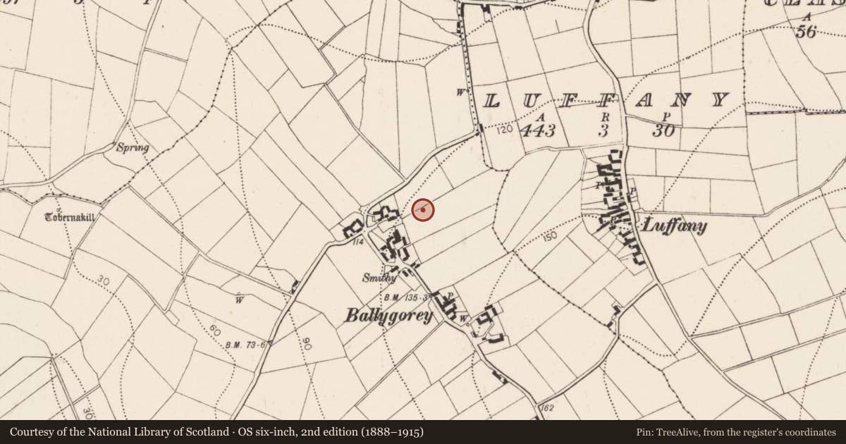 Ordnance Survey six-inch map, 2nd edition (1888–1915) covering the location of Barrow - ring-barrow, Ballygorey, County Kilkenny, with a pin at the register's coordinates